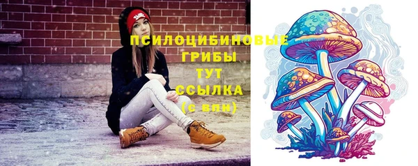 дурь Абаза