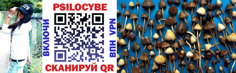 дарк нет формула  Ивантеевка  Галлюциногенные грибы Magic Shrooms 