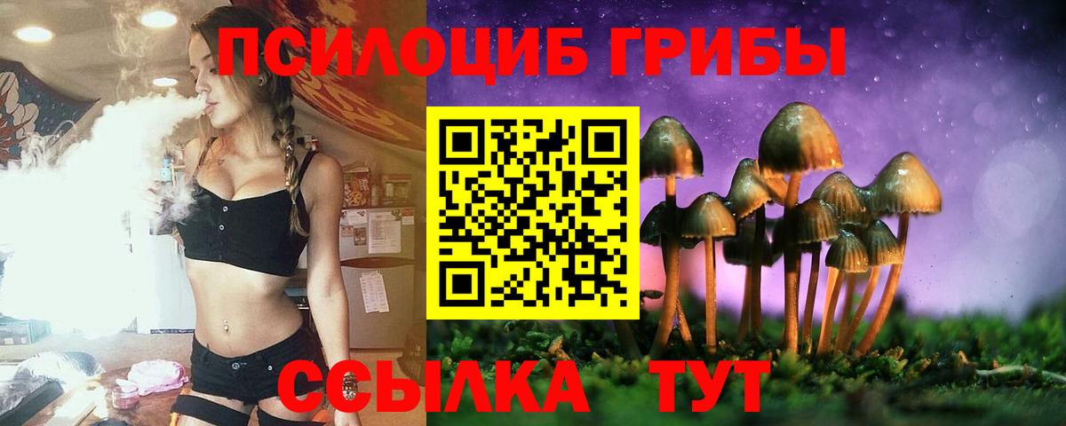 цены   Псилоцибиновые грибы мицелий  Вход с VPN  Ивантеевка  Псилоцибиновые грибы мухоморы 